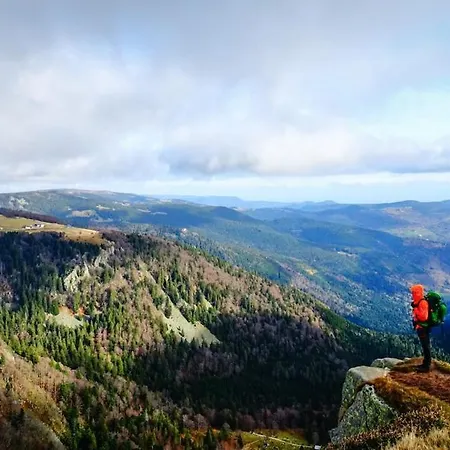 L'echappee Aux Cerfs