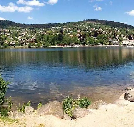 L'echappee Aux Cerfs * Les Rouges-Eaux