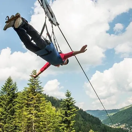 L'echappee Aux Cerfs *