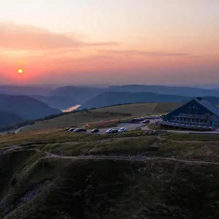 L'echappee Aux Cerfs