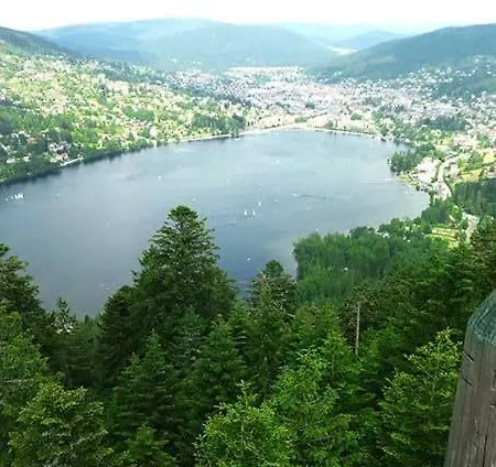 L'echappee Aux Cerfs *