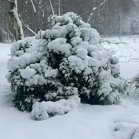 L'echappee Aux Cerfs Ferienhaus Les Rouges-Eaux