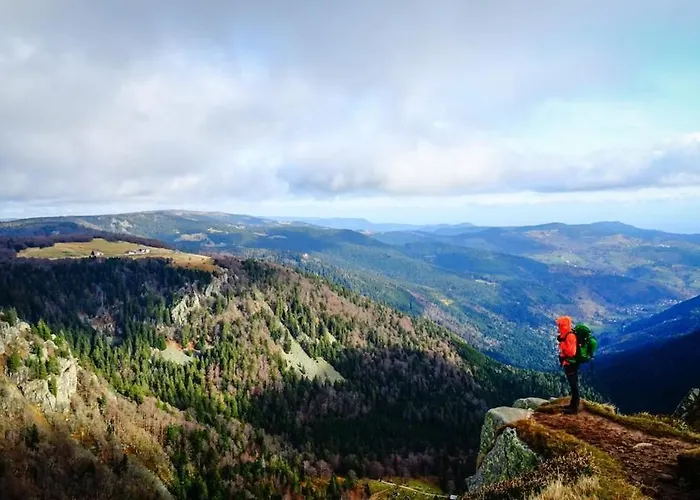 L'echappee Aux Cerfs