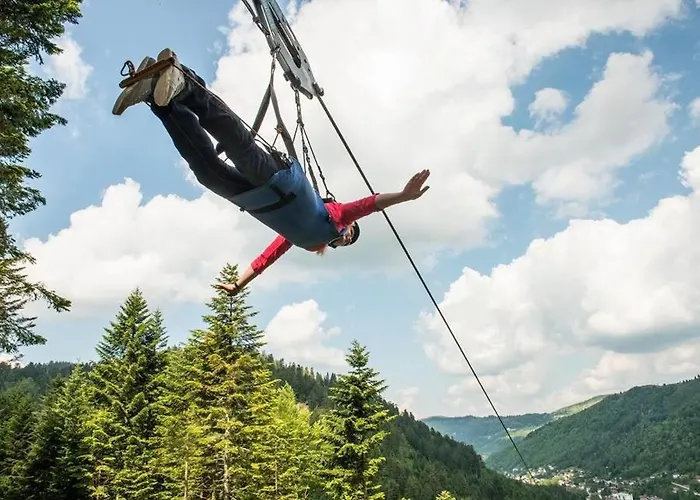 L'echappee Aux Cerfs *