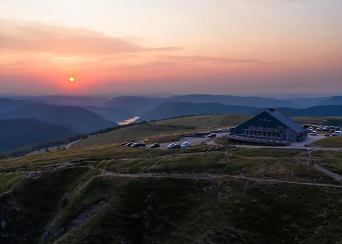 L'echappee Aux Cerfs