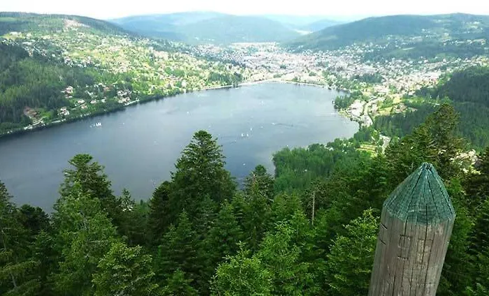 L'echappee Aux Cerfs *