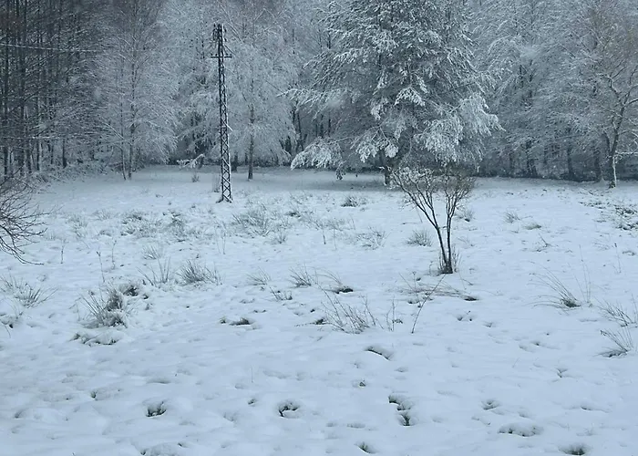 L'echappee Aux Cerfs Les Rouges-Eaux