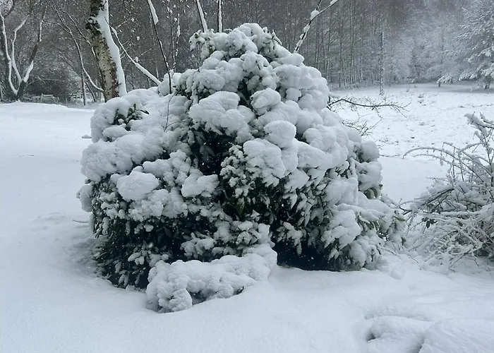 L'echappee Aux Cerfs Semesterbostad Les Rouges-Eaux